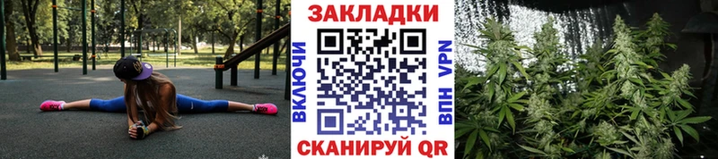 Где купить наркоту Пикалёво Галлюциногенные грибы NBOMe Альфа ПВП Гашиш Бошки Шишки Кокаин