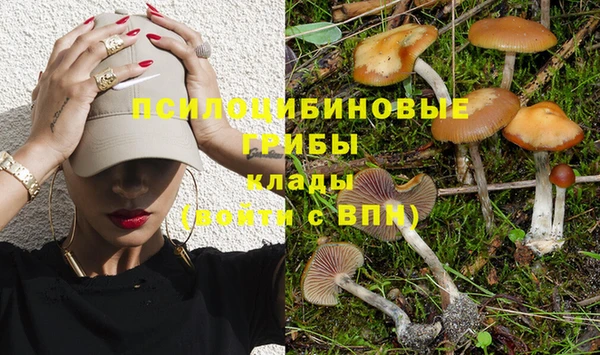 бошки Инта