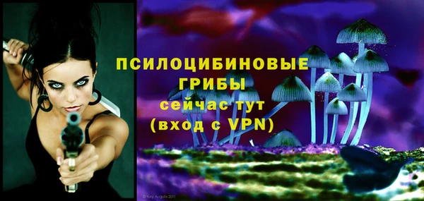 ALPHA-PVP Алексин