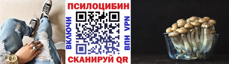 ссылка на мегу как зайти  Пикалёво  Псилоцибиновые грибы Cubensis 